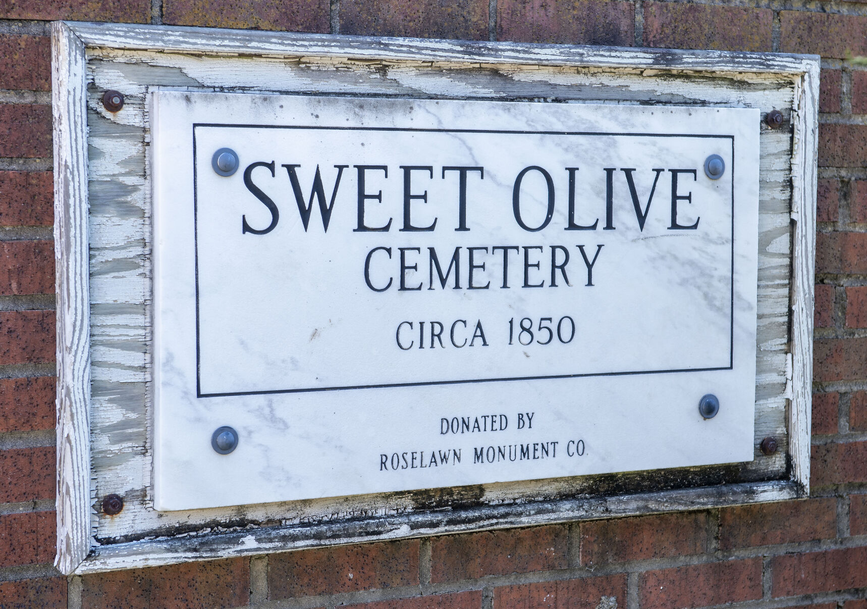 BR.sweetolive.adv 0378 bf.jpg